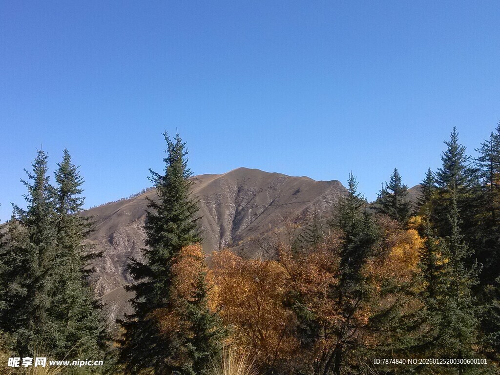 秋日山林中的巍峨山峰
