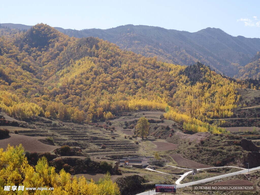 秋日山间梯田美景