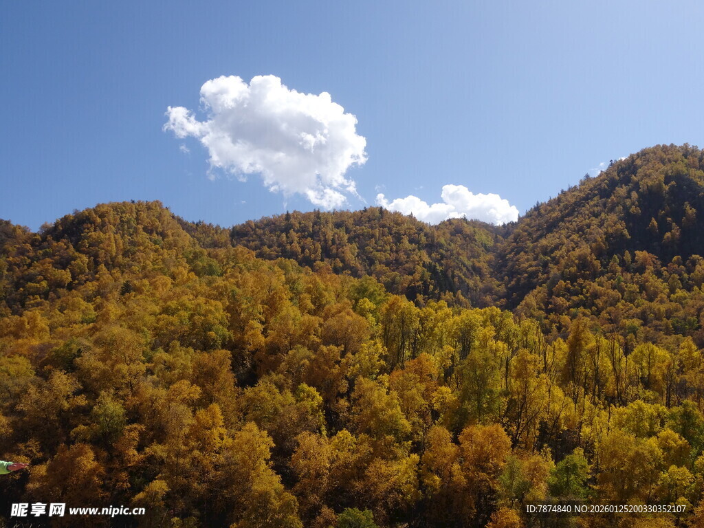 秋日山林蓝天美景