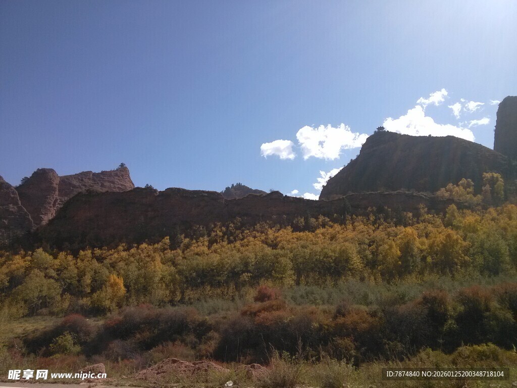山间美景 阳光照耀花草