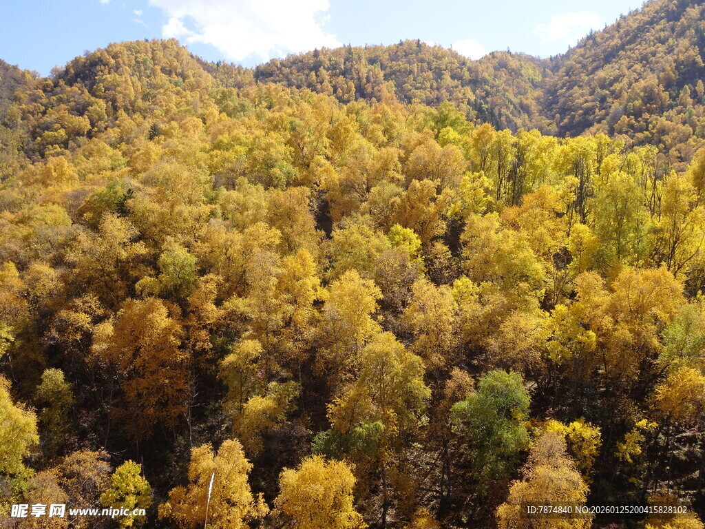 秋日山林斑斓美景