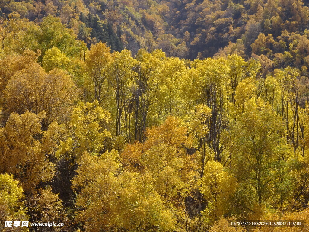 秋日山林斑斓美景