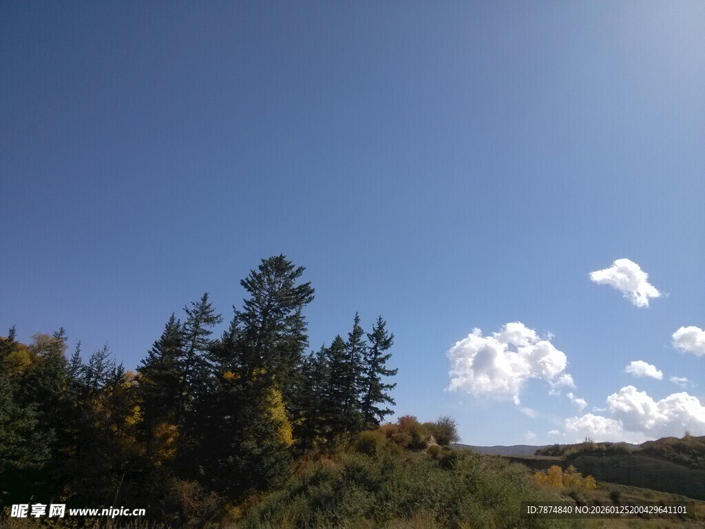 蓝天绿树间的悠然景致