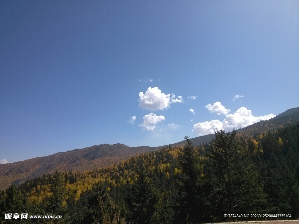 山间蓝天绿树美景