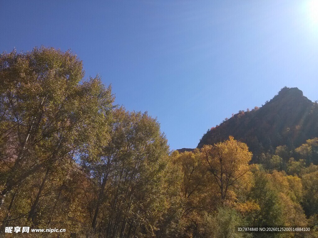 秋日山林与巍峨山峰