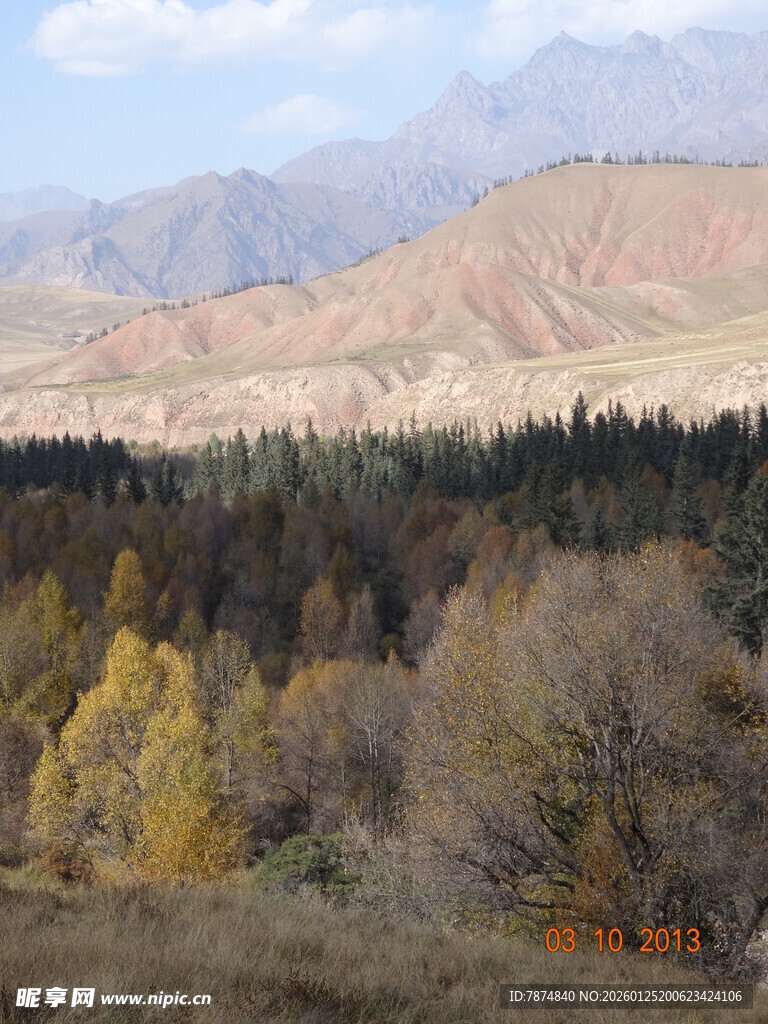 秋日山林与远处山峦景色