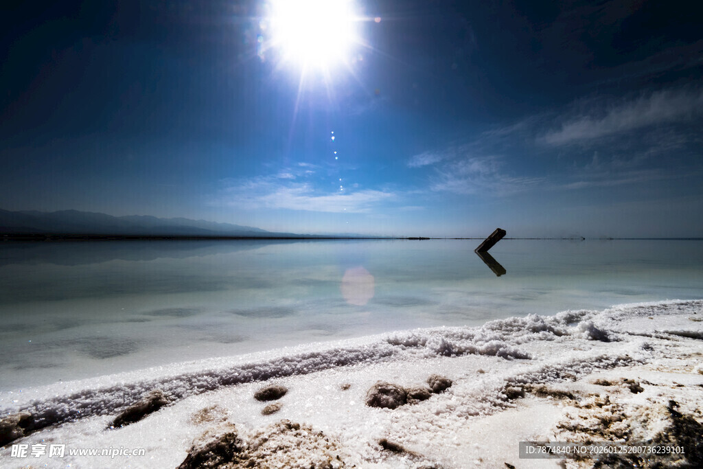 海边日出美景 飞鸟掠过