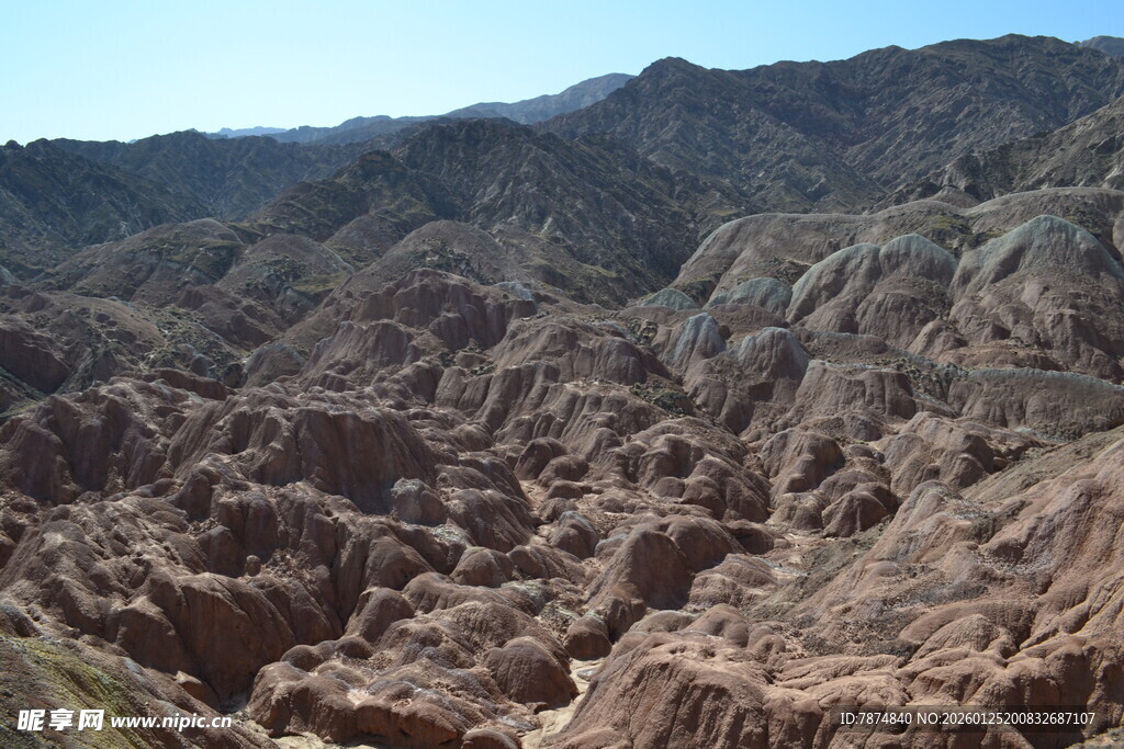 壮丽红色峡谷景观