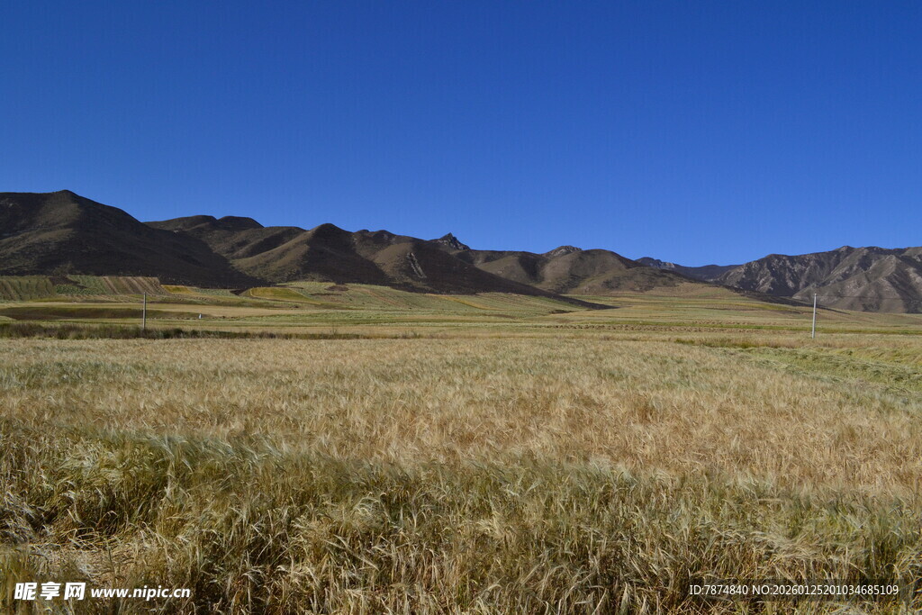 广袤草原与远处山峦