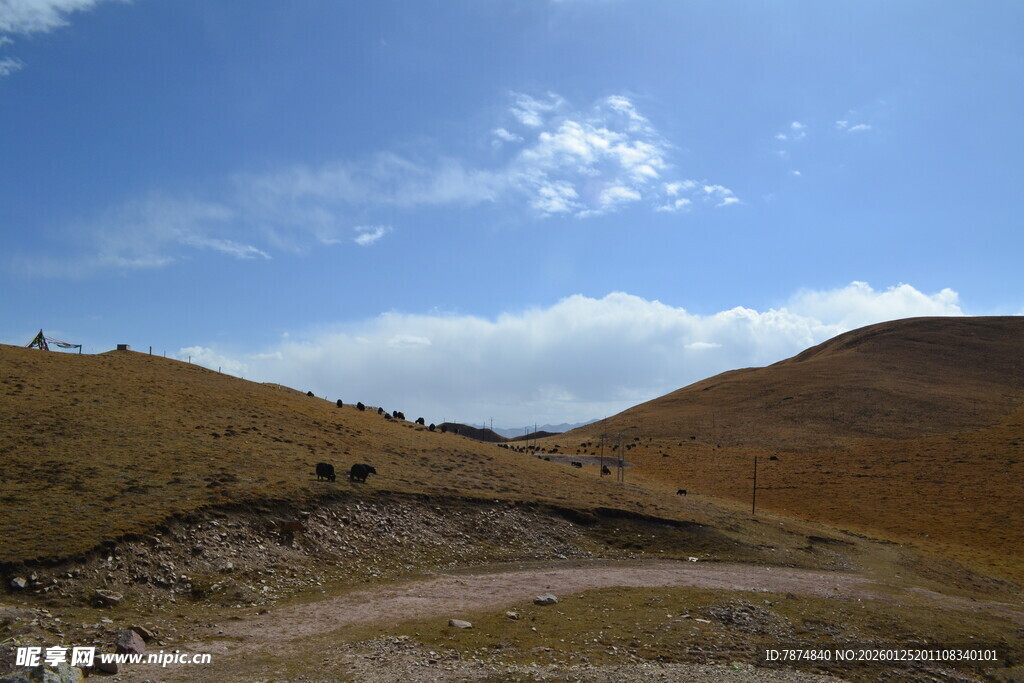 山间旷野风景