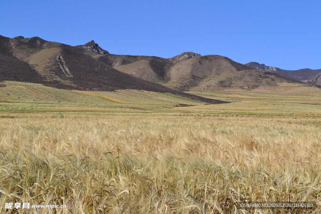 广袤草原与远处山峦