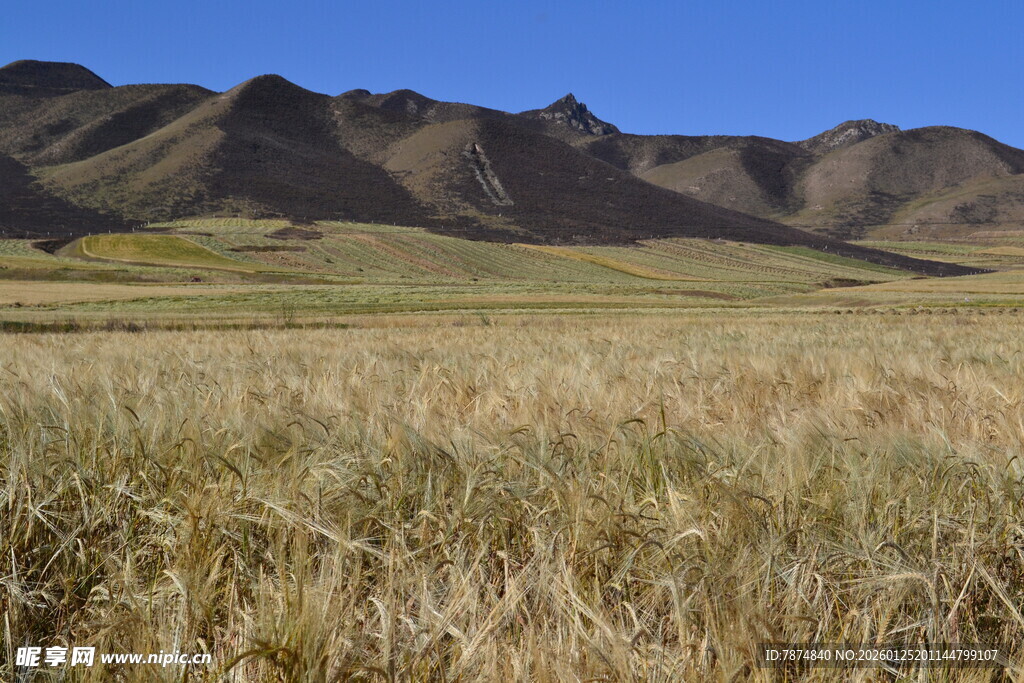 广袤草原与远处山峦