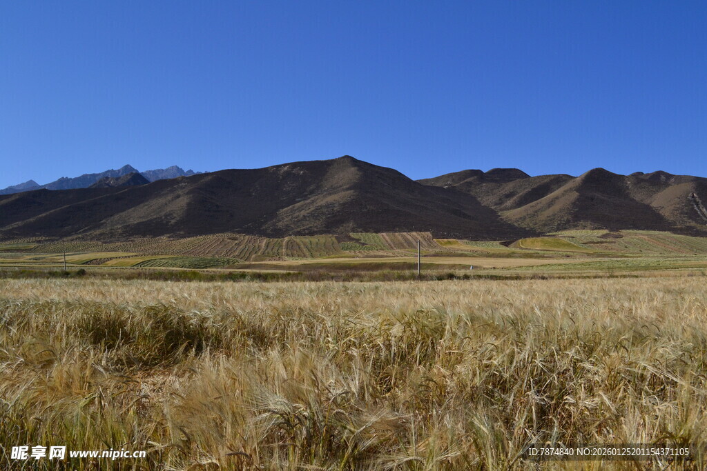 广袤草原与远处山峦景色