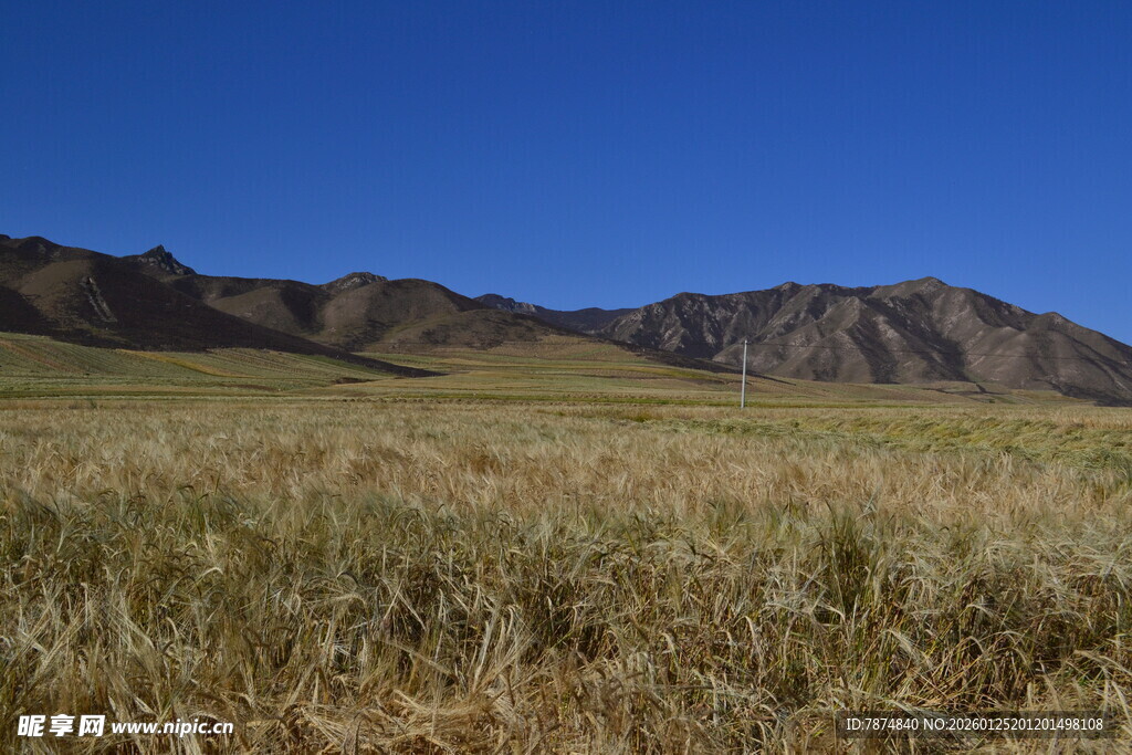 广袤草原与远处山峦