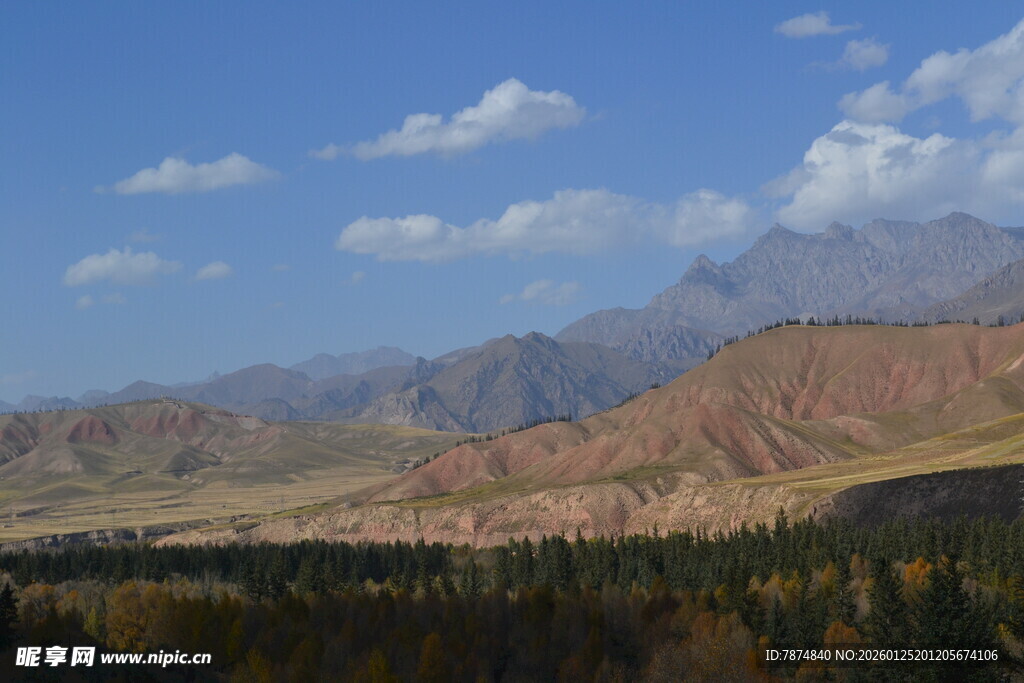 壮丽山景与葱郁森林