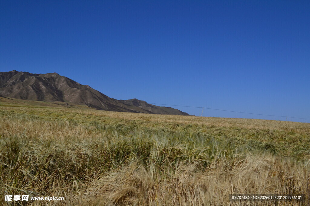 广袤草原与远处山峦风光