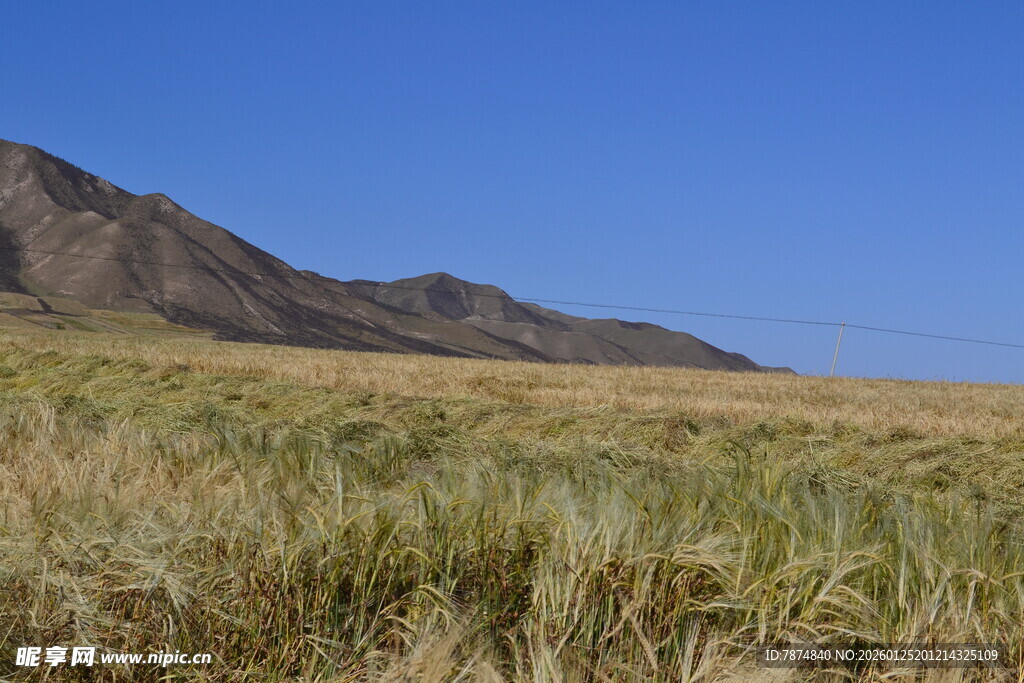 广袤草原与远处山峦