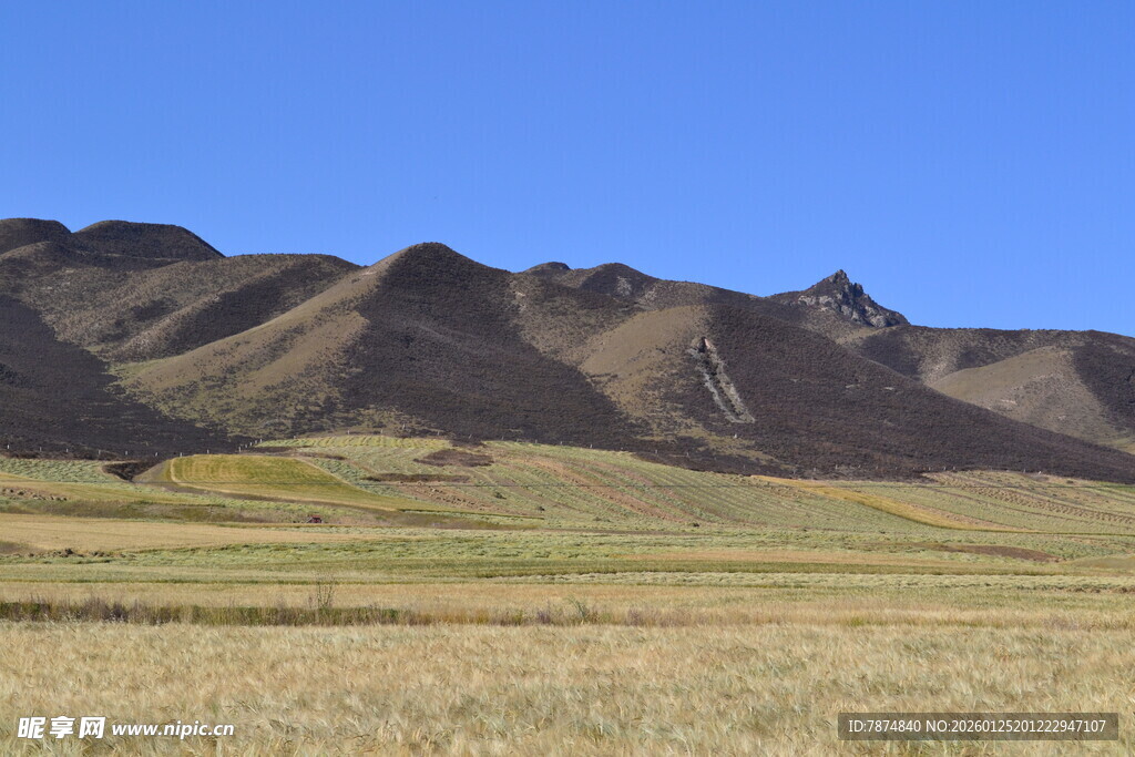 广袤草原旁的连绵山脉