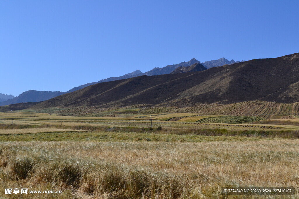 广袤草原与远处山峦