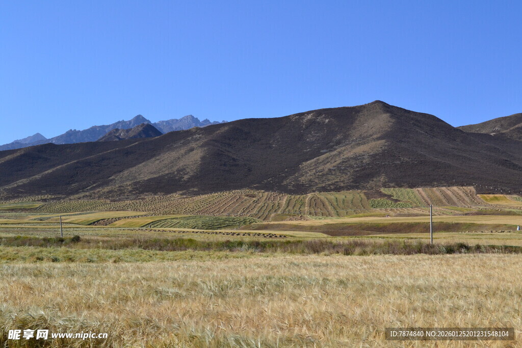 广袤草原与远处山峦景色