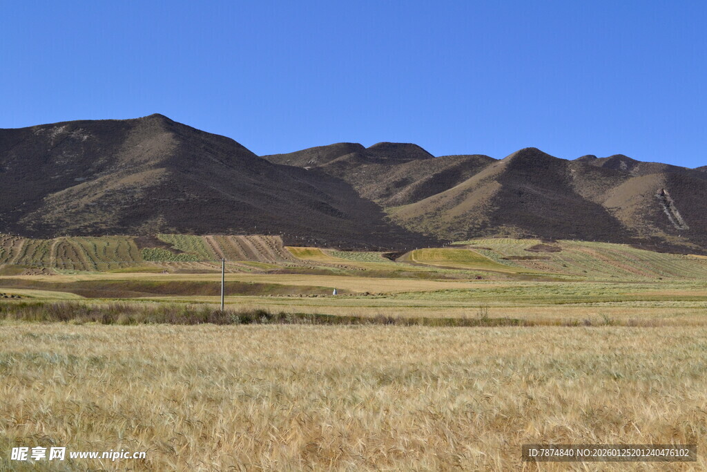 广袤草原与连绵山脉