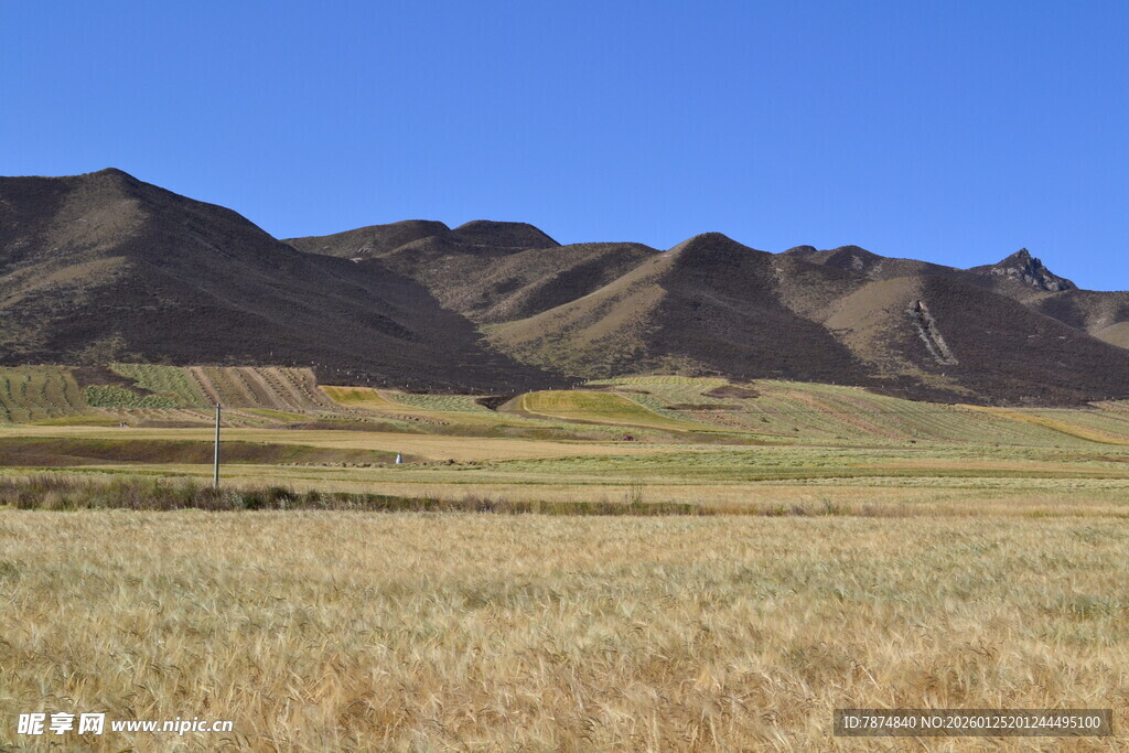 广袤草原与连绵山脉景观