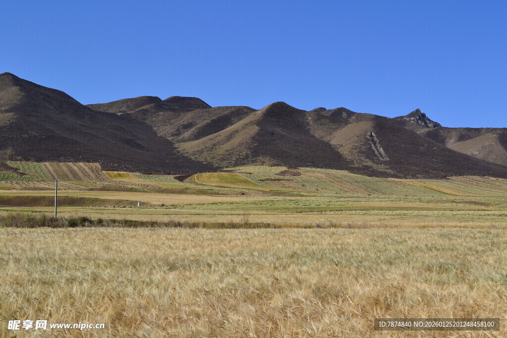 广袤草原与远处山峦