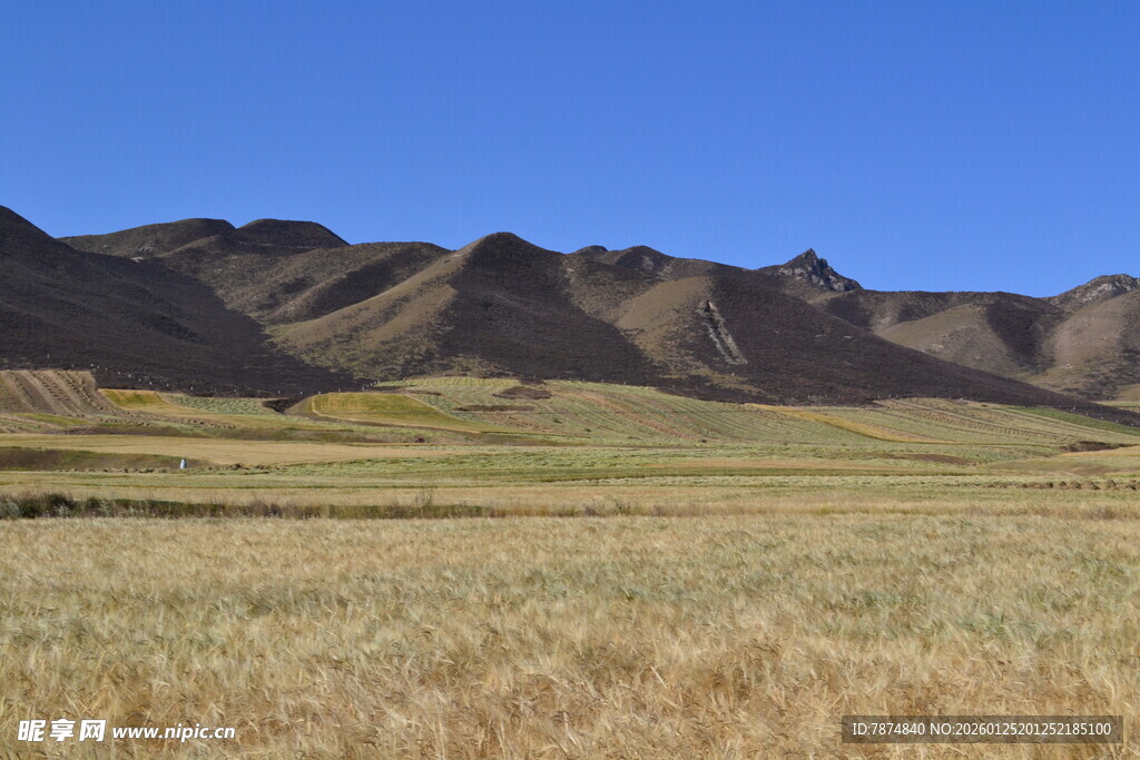 广袤荒原与连绵山脉景观