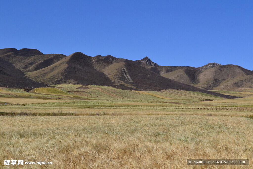 广袤草原与连绵山脉景观