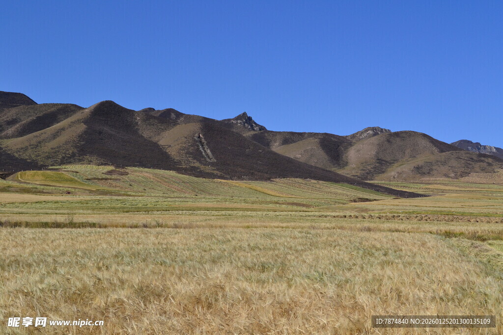 广袤草原与连绵山脉