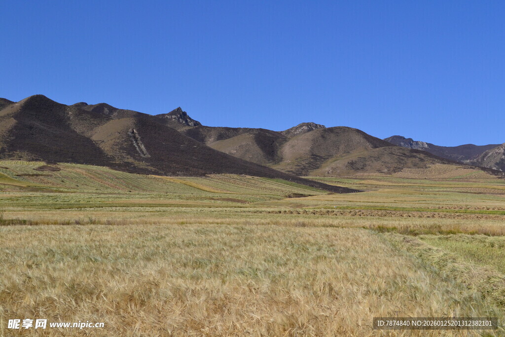 广袤草原与远处山峦
