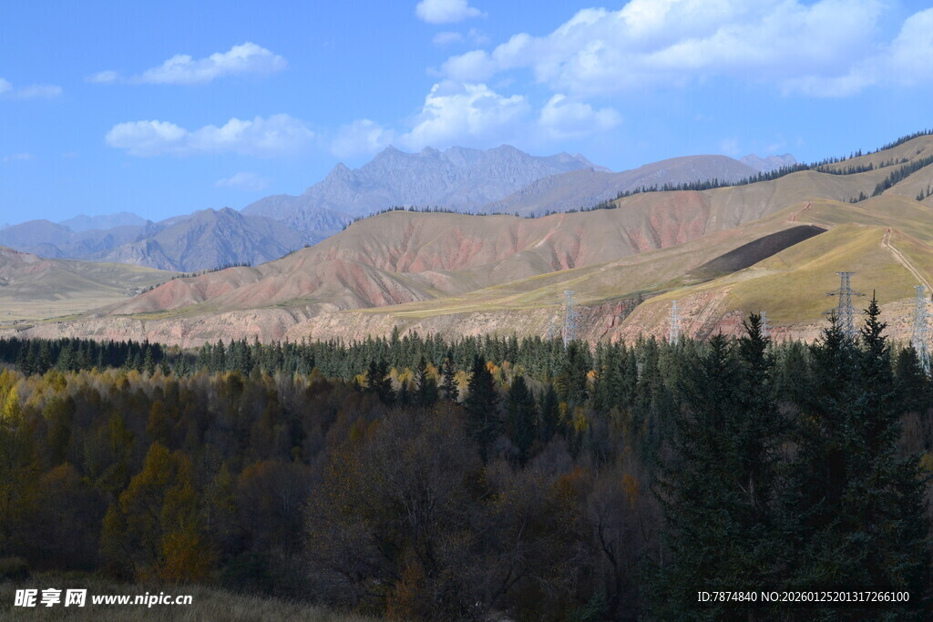 山间松林与远处山峦美景