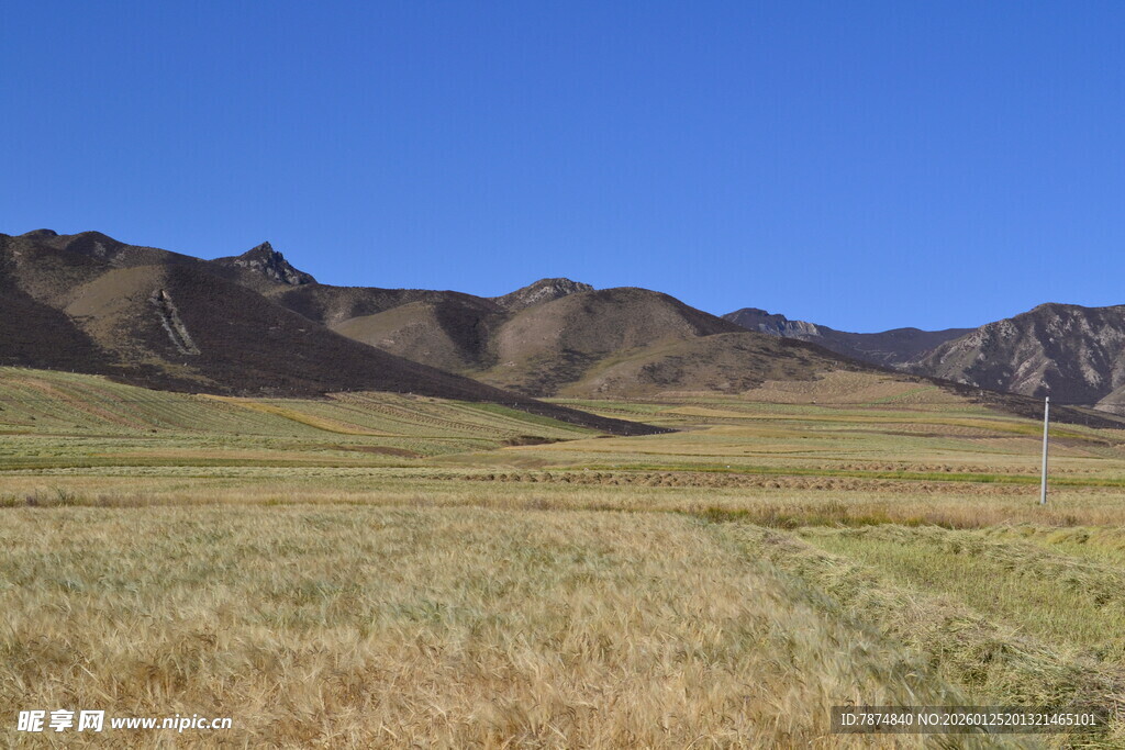 广袤草原与连绵山脉