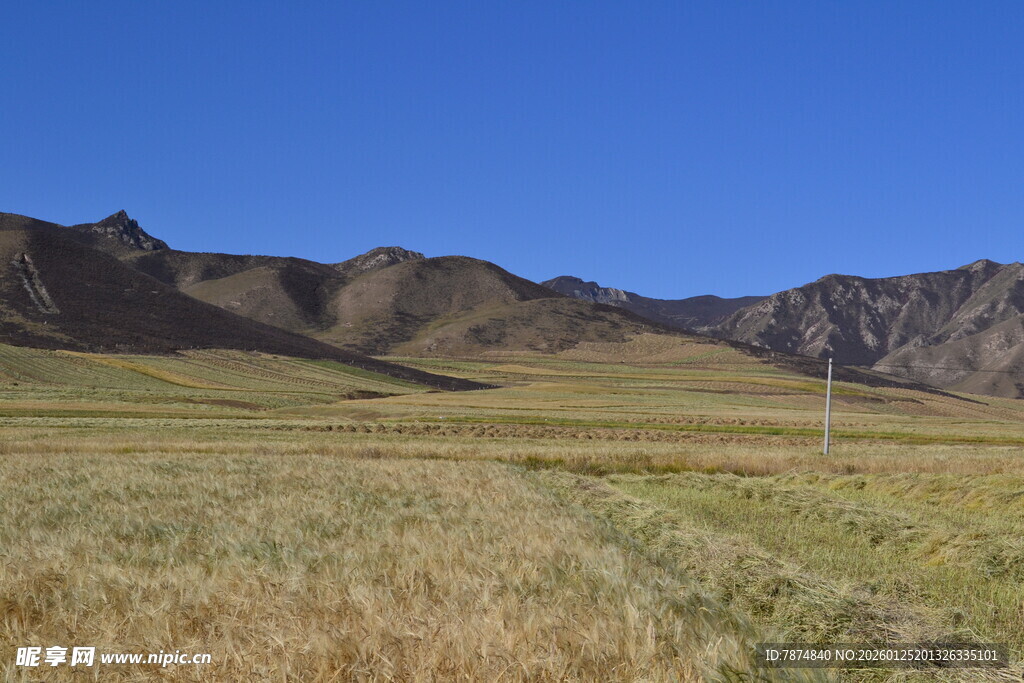 广袤草原边的连绵山脉