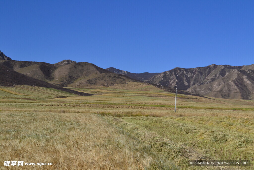 广袤草原与远处山峦