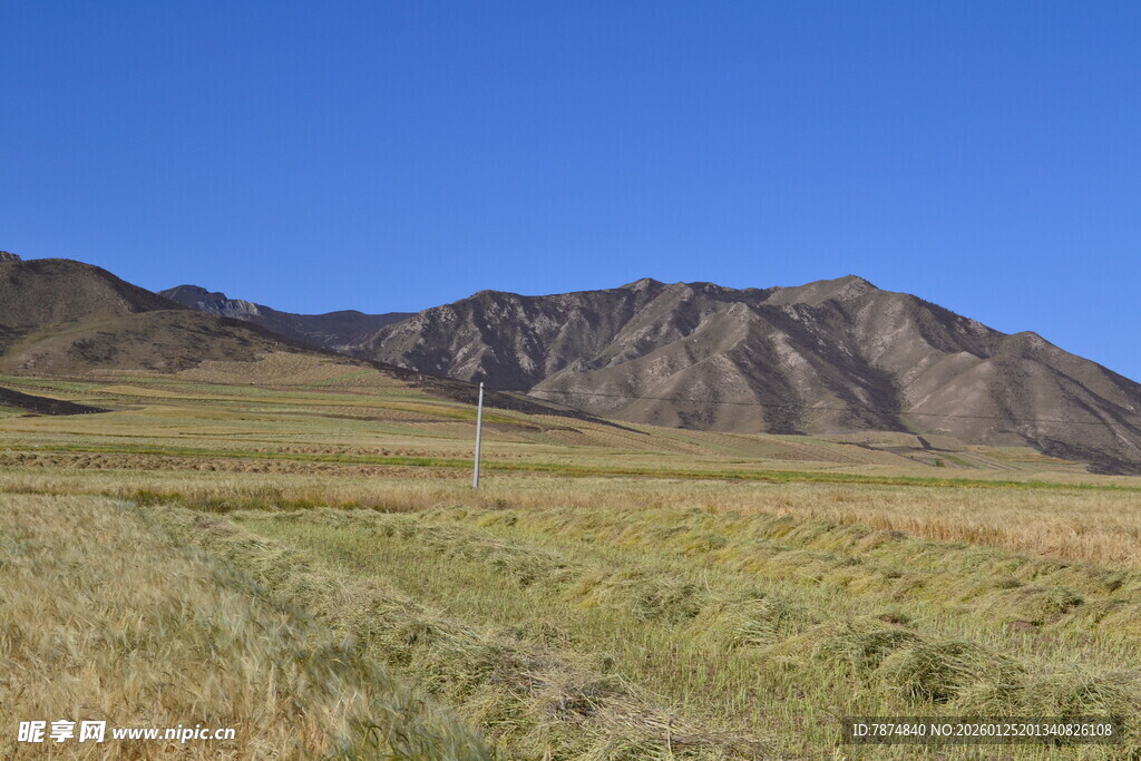 草原与远山的壮美风景