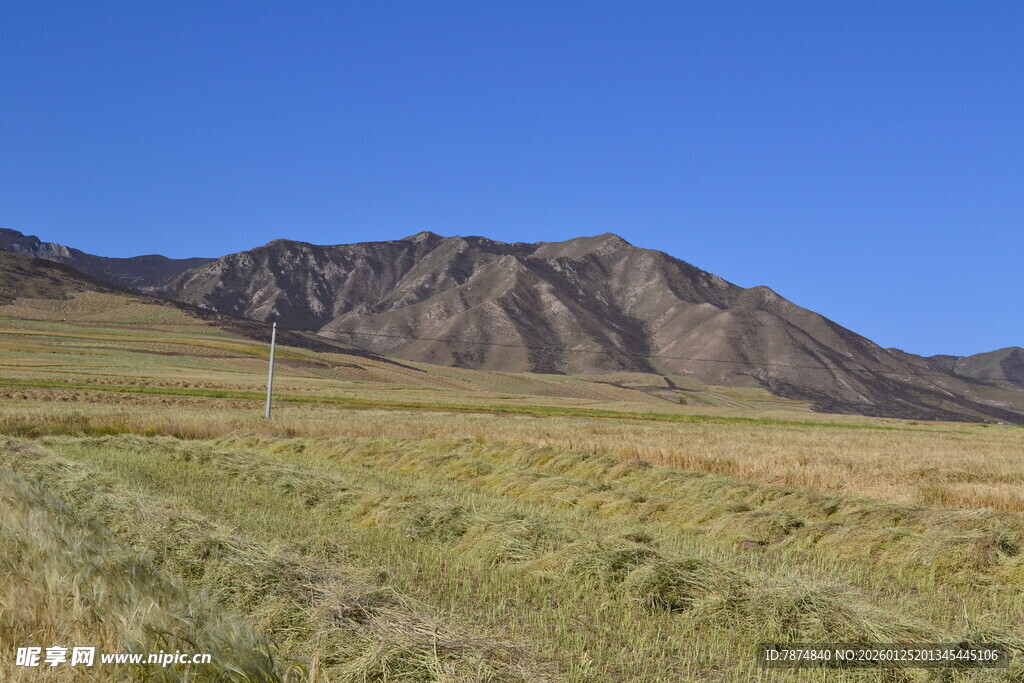 草原上的巍峨山脉