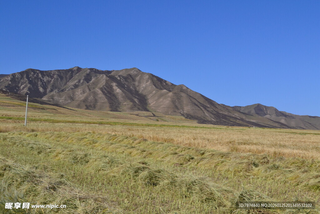 草原与远山的壮美风光
