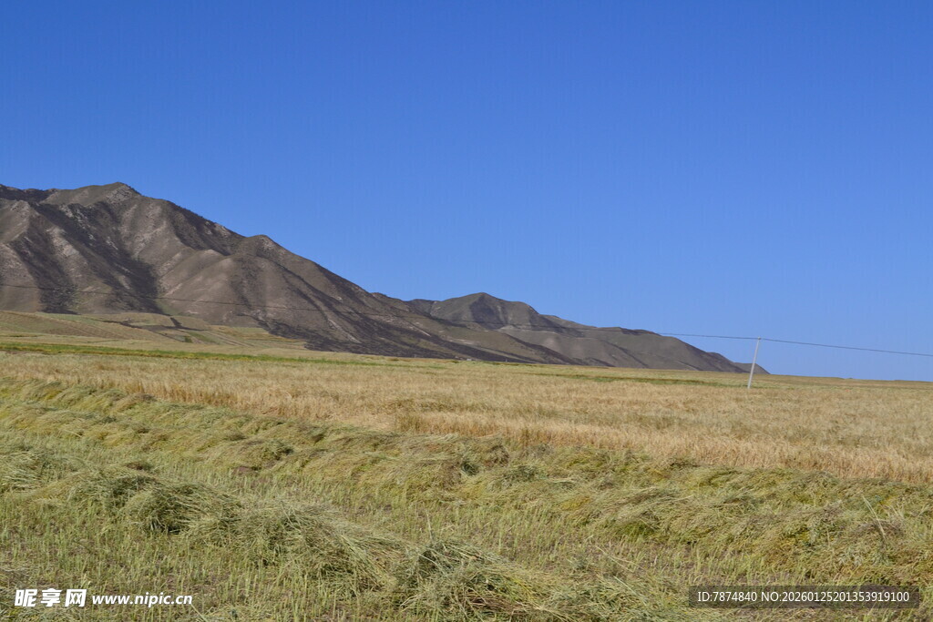 广袤草原与远处山峦