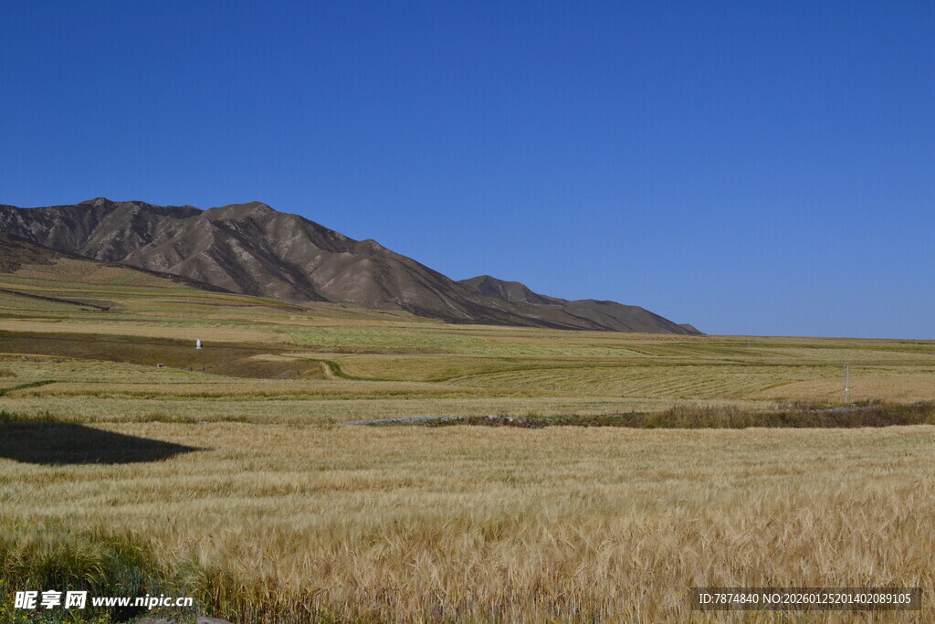 广袤田野与远处山峦
