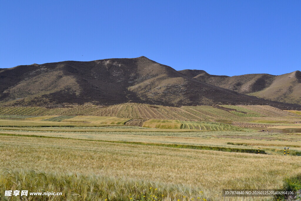 广袤原野与远山蓝天