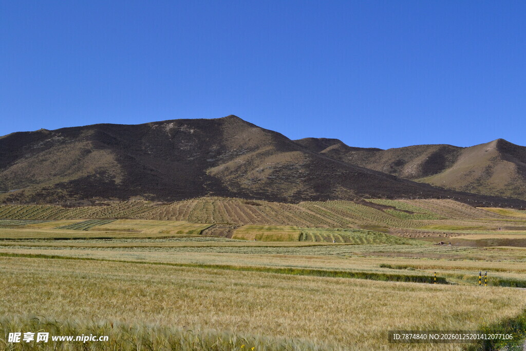 广袤原野旁的连绵山脉