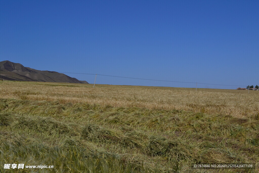 广袤草原与远山蓝天