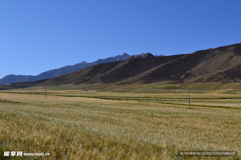 广袤草原与远处山峦