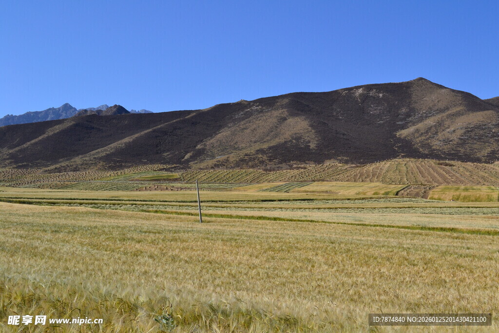 广袤草原与远山风景