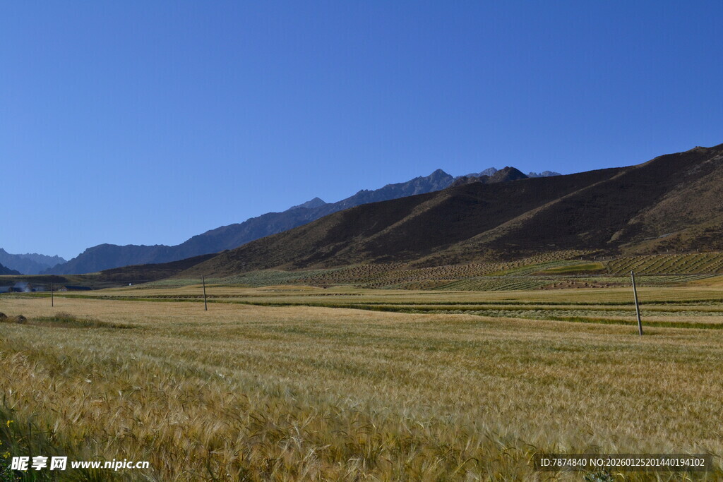 广袤田野与远处山峦风光