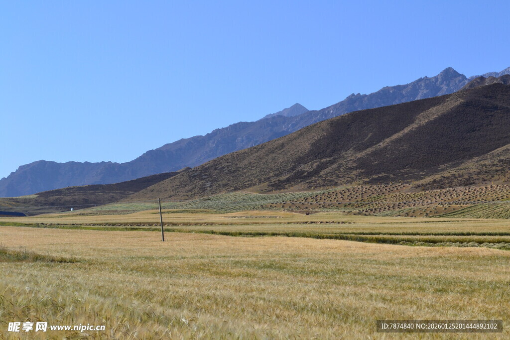 广袤草原与远处山峦