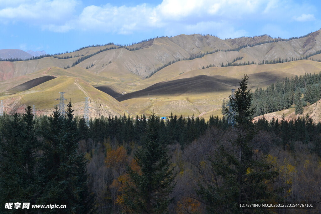 秋日山林与远处山峦景色