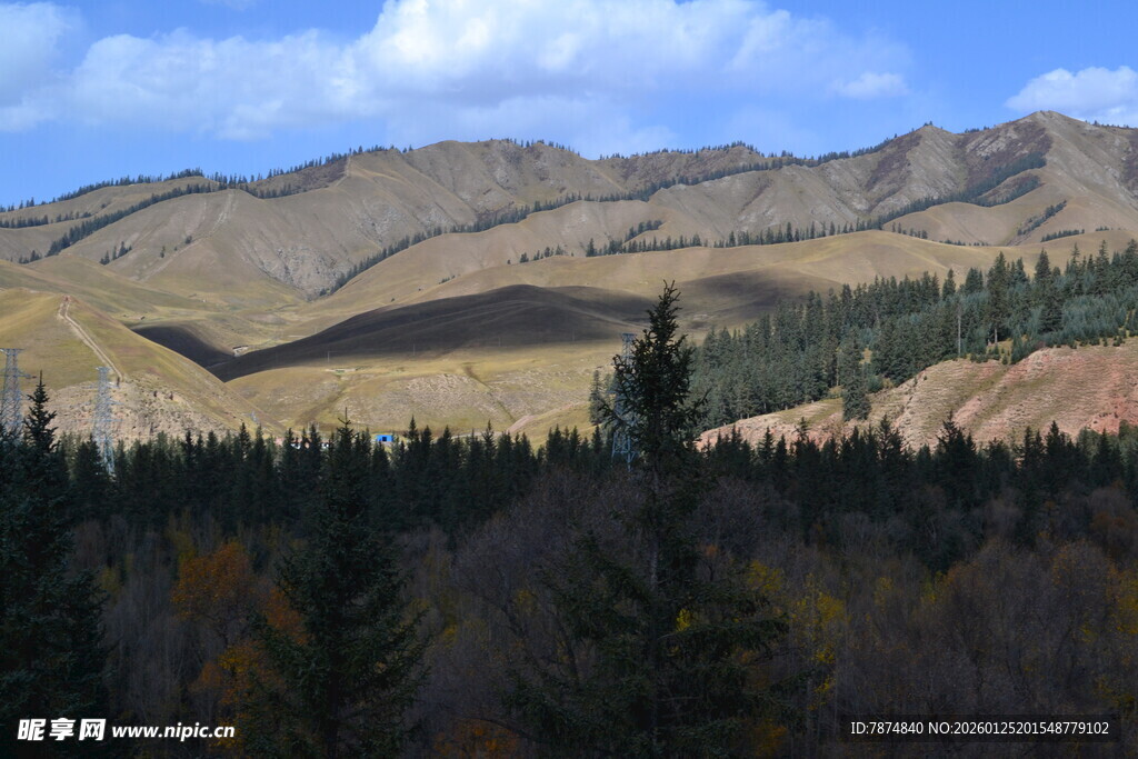 秋日山林与远山风景