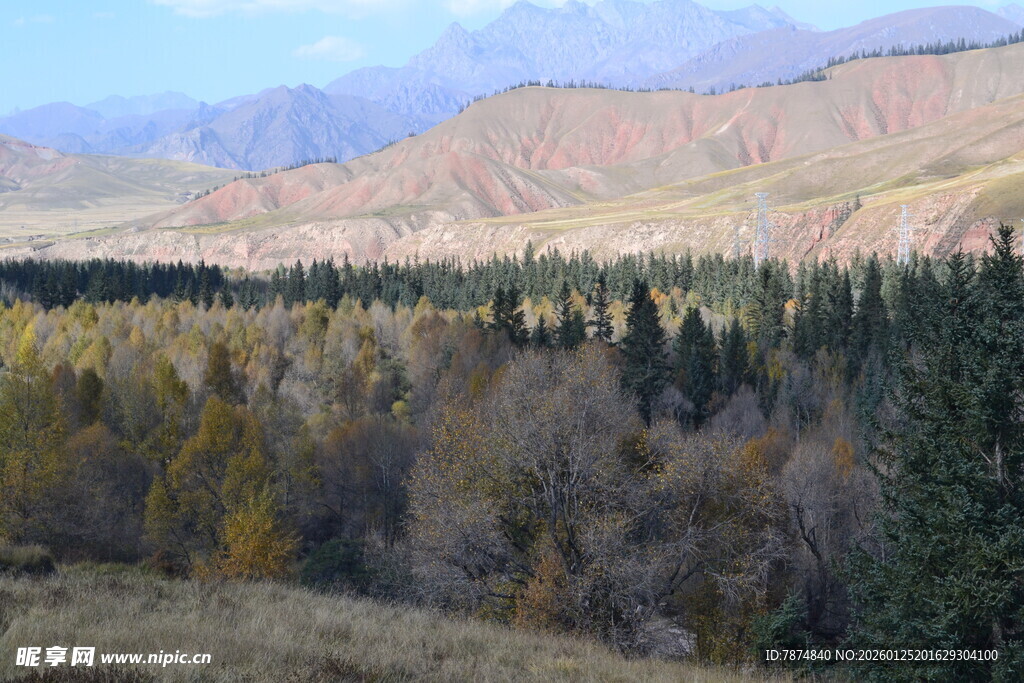 秋日山林与远处山峦景色